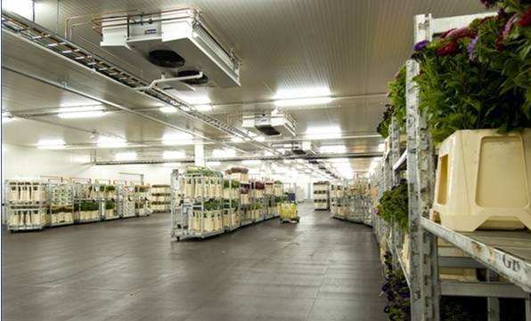 寧波建冷庫(kù)多少錢(qián)一立方？每立方能存多少貨物